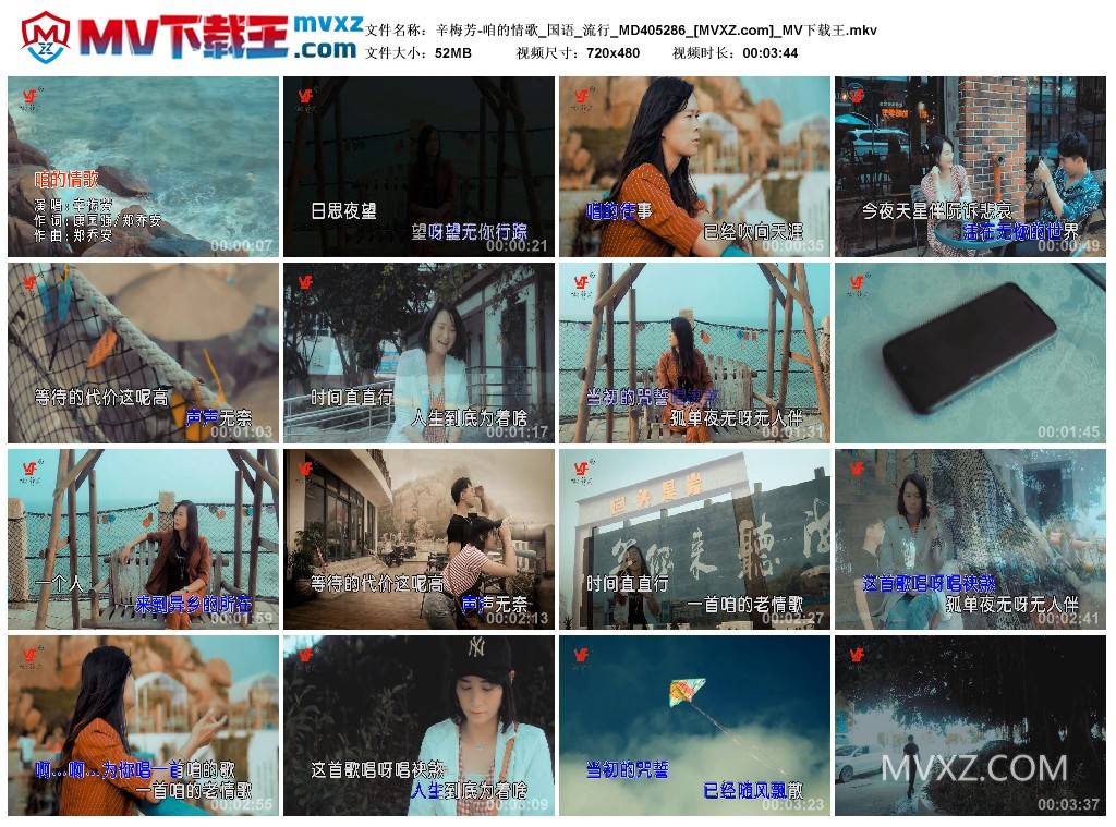 辛梅芳-咱的情歌_国语_流行_MD405286